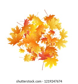Maple leaves vector background, autumn foliage on white graphic design. Canadian symbol maple red orange gold dry autumn leaves. Realistic tree foliage november seasonal background.