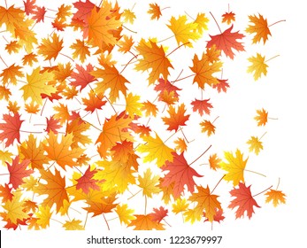 Maple Leaves Vector Background Autumn Foliage Stock Vector (Royalty ...