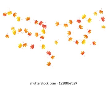 Maple leaves vector background, autumn foliage on white graphic design. Canadian symbol maple red orange yellow dry autumn leaves. Detailed tree foliage vector october seasonal background.