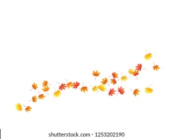 Hojas de arce fondo vectorial, follaje otoñal sobre diseño gráfico blanco. Símbolo canadiense hojas de otoño secas de color rojo anaranjado. Antecedentes específicos de la temporada de setiembre del vector vegetal.