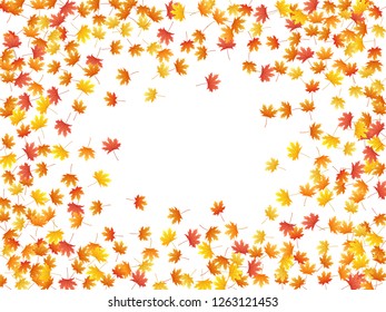 Maple leaves vector background, autumn foliage on white illustration. Canadian symbol maple red yellow gold dry autumn leaves. Falling tree foliage fall seasonal background pattern.