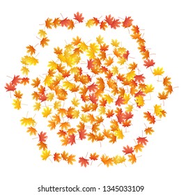 Maple leaves vector background, autumn foliage on white graphic design. Canadian symbol maple red orange yellow dry autumn leaves. Nice tree foliage october background pattern.
