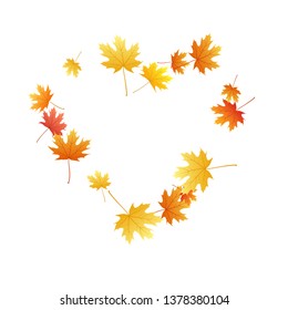 Maple leaves vector background, autumn foliage on white graphic design. Canadian symbol maple red yellow gold dry autumn leaves. Chic tree foliage vector november season specific background.