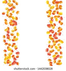 Maple leaves vector background, autumn foliage on white illustration. Canadian symbol maple red orange yellow dry autumn leaves. Cool tree foliage fall season specific background graphics.