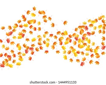 Maple leaves vector background, autumn foliage on white illustration. Canadian symbol maple red orange gold dry autumn leaves. Fancy tree foliage october season specific background.