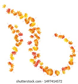 Maple leaves vector background, autumn foliage on white illustration. Canadian symbol maple red orange gold dry autumn leaves. Beautiful tree foliage vector november seasonal background.