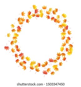 Maple leaves vector background, autumn foliage on white illustration. Canadian symbol maple red orange gold dry autumn leaves. Abstract tree foliage october background graphics.