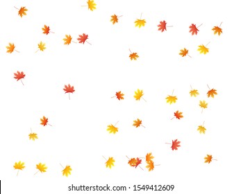 Maple leaves vector background, autumn foliage on white illustration. Canadian symbol maple red orange yellow dry autumn leaves. Vivid tree foliage november seasonal background pattern.