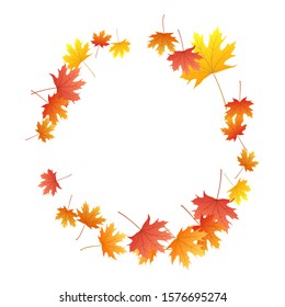 Maple leaves vector background, autumn foliage on white illustration. Canadian symbol maple red yellow gold dry autumn leaves. Closeup tree foliage november seasonal background pattern.