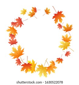 Maple leaves vector background, autumn foliage on white graphic design. Canadian symbol maple red yellow gold dry autumn leaves. Bright tree foliage october background graphics.