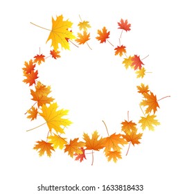 Maple leaves vector background, autumn foliage on white illustration. Canadian symbol maple red yellow gold dry autumn leaves. Forest tree foliage fall season specific background graphics.