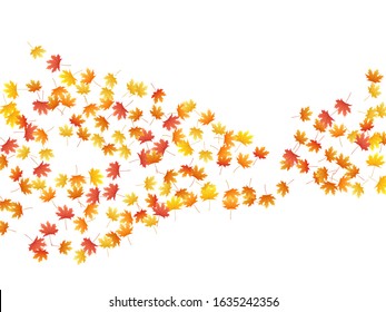 Maple leaves vector background, autumn foliage on white illustration. Canadian symbol maple red orange yellow dry autumn leaves. Beautiful tree foliage october background pattern.