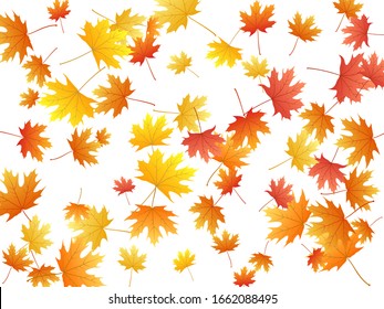 4,576,862 Autumn background leaves Images, Stock Photos & Vectors ...