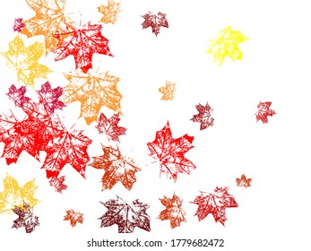 Maple leaves vector background, autumn foliage on white illustration. Falling red leaves for Canada Day 1st July. Autumn background.