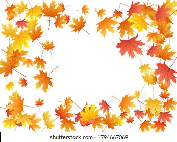 Maple leaves vector background, autumn foliage on white illustration. Canadian symbol maple red orange yellow dry autumn leaves. Fancy tree foliage fall season specific background.