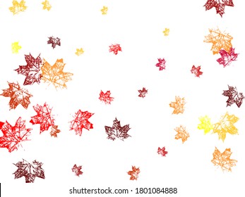 Maple leaves vector background, autumn foliage on white illustration. Canadian symbol maple red orange yellow dry autumn leaves. Autumn background.