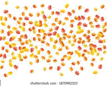 Hojas de arce fondo vectorial, follaje otoñal sobre diseño gráfico blanco. Símbolo canadiense maple naranja rojo oro hojas secas de otoño. Gráficos de fondo específicos de la temporada de caída de árboles Snazzy.
