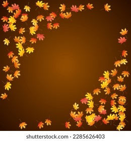 Maple leaves vector background, autumn foliage on white illustration. Canadian symbol maple red yellow gold dry autumn leaves. Vivid tree foliage vector september seasonal background.