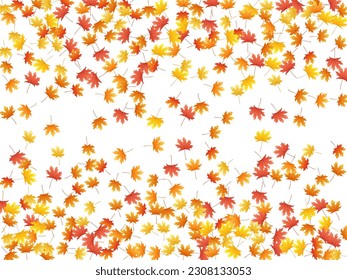 Hojas de arce fondo vectorial, follaje otoñal sobre ilustración blanca. Símbolo canadiense maple amarillo dorado hojas secas de otoño. Antecedentes específicos de la temporada de vectores de follaje de árbol chic en noviembre.