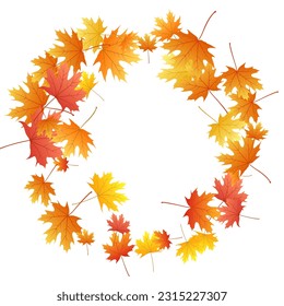 Maple leaves vector background, autumn foliage on white illustration. Canadian symbol maple red orange yellow dry autumn leaves. Romantic tree foliage fall season specific background.
