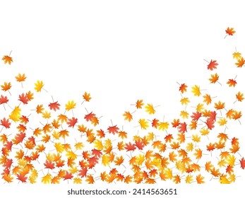 Maple leaves vector background, autumn foliage on white illustration. Canadian symbol maple red orange gold dry autumn leaves. Biological tree foliage vector october season specific background.