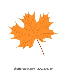 Maple deja ilustración vectorial. El otoño deja arce.