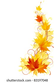 Maple leaves. Vector illustration of red, yellow and orange maple leaves on white background.