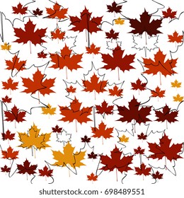 maple leaves vector pattern