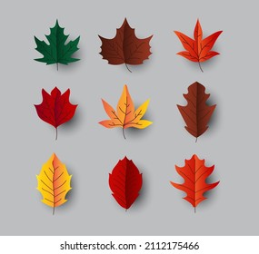 maple leaves vector set. autumn