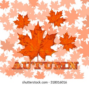 Maple leaves with the word autumn