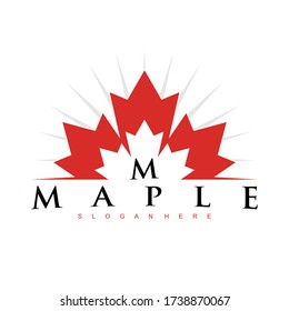 maple logo design concept  vector