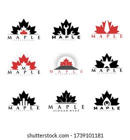 maple logo design concept  vector