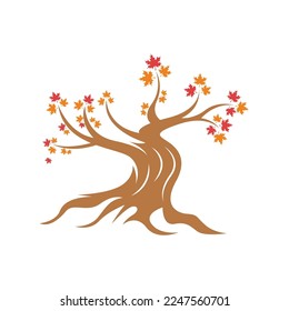 Ilustración de diseño de icono del logotipo de Maple