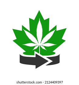 Maple Marijuana Logo Design. Canadian Marijuana Logo. Red Maple Leaf with Marijuana Vector