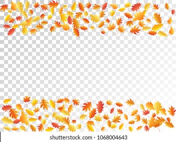 Maple and oak leaf border background seasonal vector illustration. Autumn leaves falling frame graphic design. Fall season specific border vector background. Oak tree autumn foliage on transparent.
