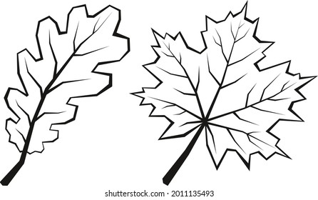 Maple and Oak Leaves, Black Contour Pictograms, Elements for Design. Vector