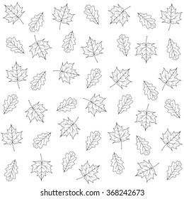 maple  and oak leaves on white background