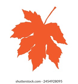 Maple orange leaf vector illustration on white