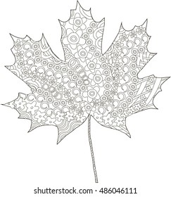 Maple ornaments leaf sketch, thin black line on white, coloring page anti-stress, vector illustration