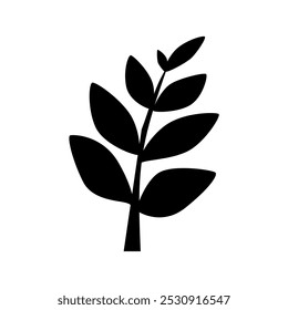 maple plant leaf icon in white background