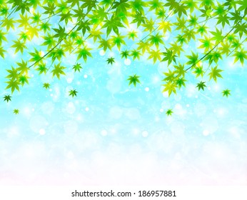 Maple sea landscape