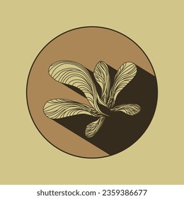 Maple seed logo with shadow. Vector images of natural elements on a brown background for eco design. Linear drawing of a maple lionfish. Autumn mood.