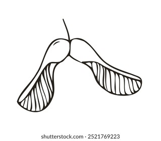 Ahornsamen handgezeichnete Linie Kunst Illustration Umrisszeichnung. Vorlagen zum Färben von Büchern, Aufklebern, Drucken. Trendy schwarz-weiße Vektorgrafik mit Ahornsamen