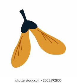 Maple seeds on white background. doodle style twig. element of decor  autumn postcard.