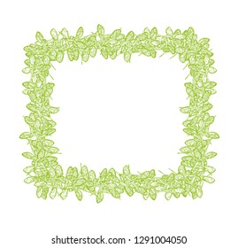 Maple seeds square frame green color isolated on white background, stock vector illustration for design and decoration, cards and invitations