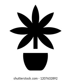
Maple shaped plant in pot is icon for marijuana plant
