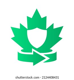 Maple Shield Logo Design. Canadian Shield Logo. Red Maple leaf with Shield Template