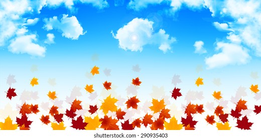 Maple sky background