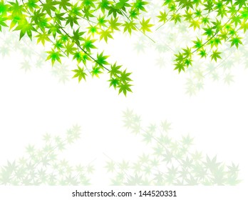 Maple summer background