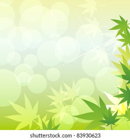 maple of summer background